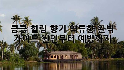 킁킁, 힐링 향기! 역류향 완벽 가이드👃✨ 원인부터 예방까지!