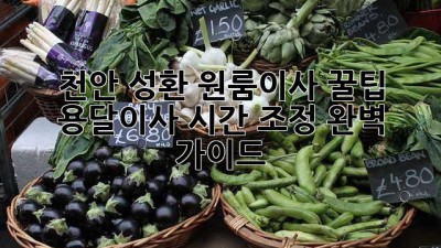 천안 성환 원룸이사 꿀팁🍯 용달이사 시간 조정 완벽 가이드!